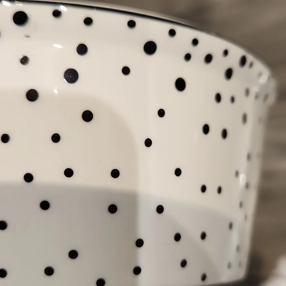 EUC Fido's Diner By Coastline Imports Dog Dish w/Black Polka Dots 2 1/8